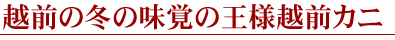越前の冬の味覚の王様越前カニ